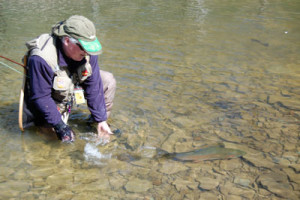 Wet Hands, Wet Fish, Good Release